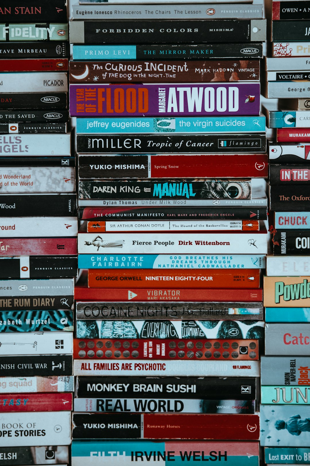 The Enduring Importance of Challenged Books (image credits: unsplash)