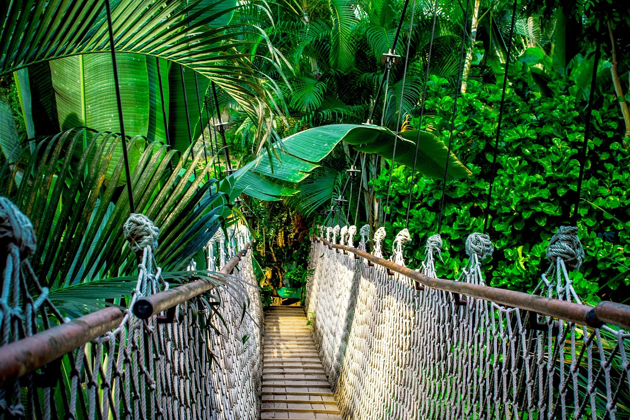 The Lost City of Z: Amazonian Legends (image credits: pixabay)