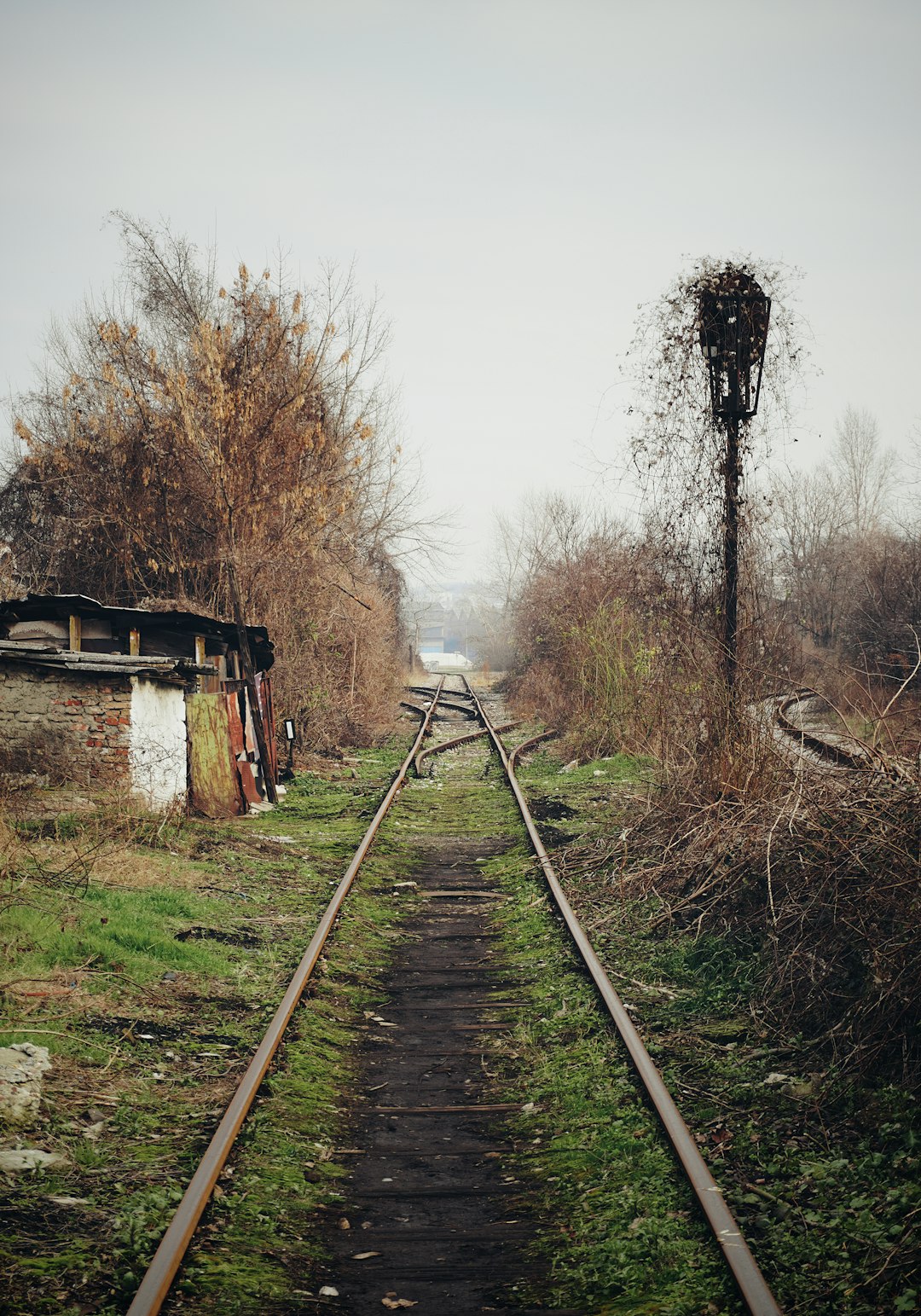 Thurmond, West Virginia: Railroad Town Left Behind (image credits: unsplash)