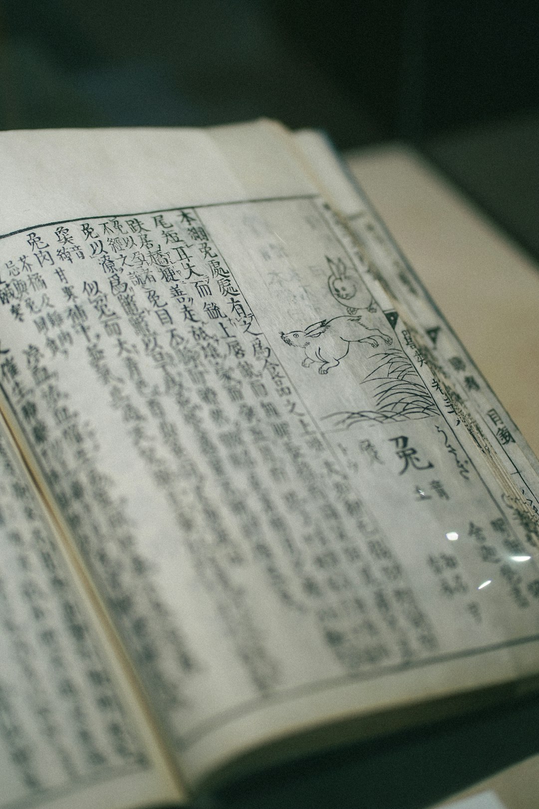 The Jiahu Symbols - China's Ancient Mystery (image credits: unsplash)
