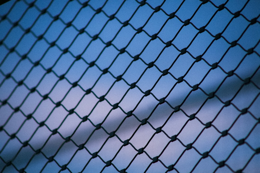The Unbelievable Escape of Yoshie Shiratori (image credits: unsplash)
