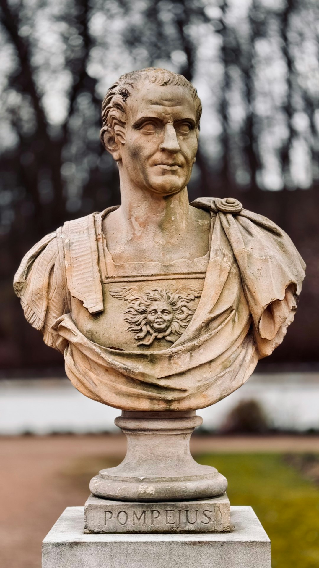Scipio Africanus - Rome's Greatest General (image credits: unsplash)