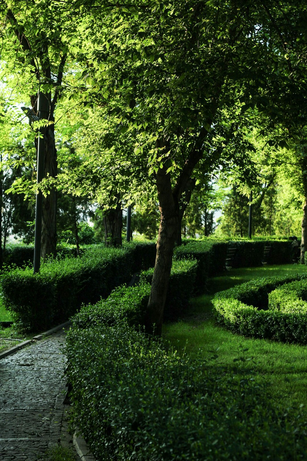 Medieval Cities Were Greener Than Modern Ones (image credits: unsplash)