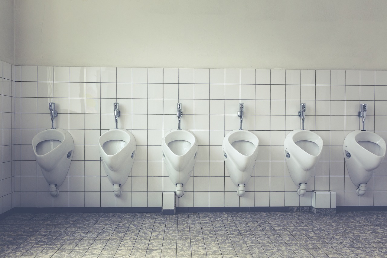People Had Toilets (Sort Of) (image credits: pixabay)