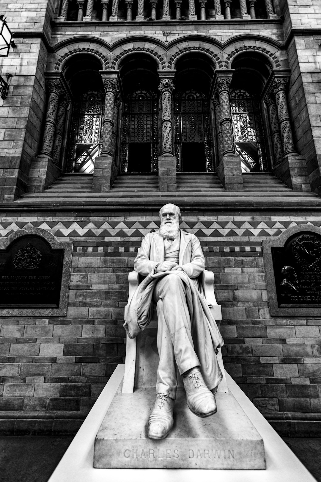 Charles Darwin's Childhood Collecting Obsession (image credits: unsplash)