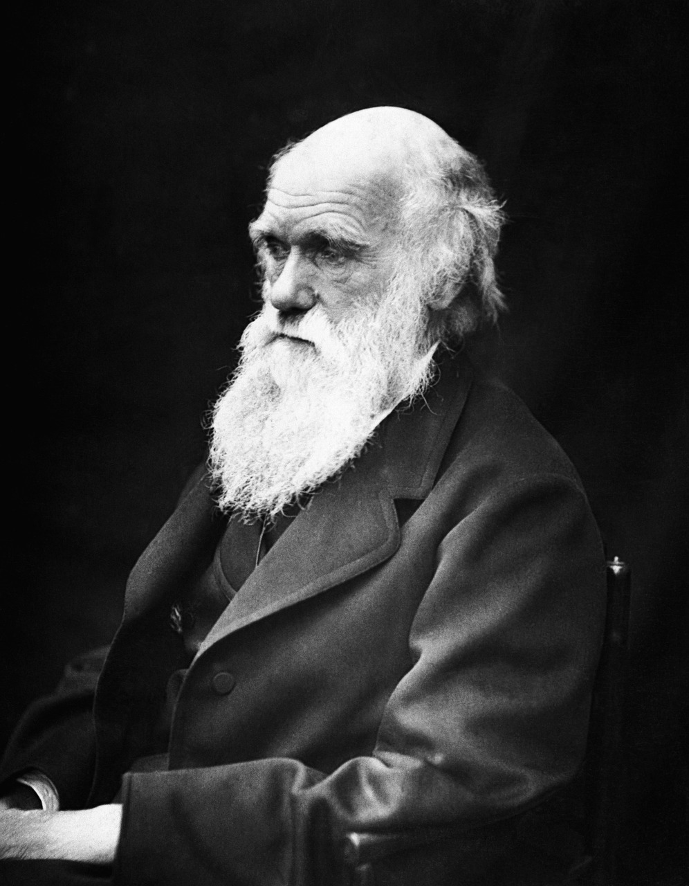 Charles Darwin: Panic in the Face of Evolution (image credits: pixabay)