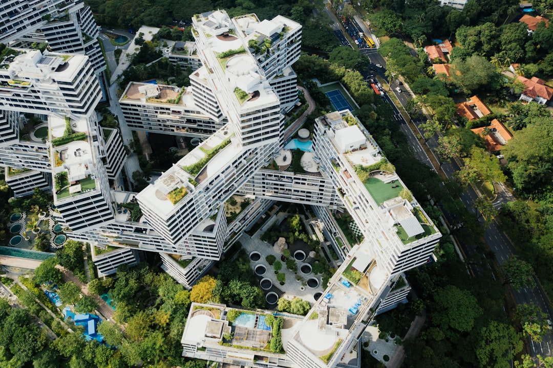 Urban Planning and Disease Prevention (image credits: unsplash)