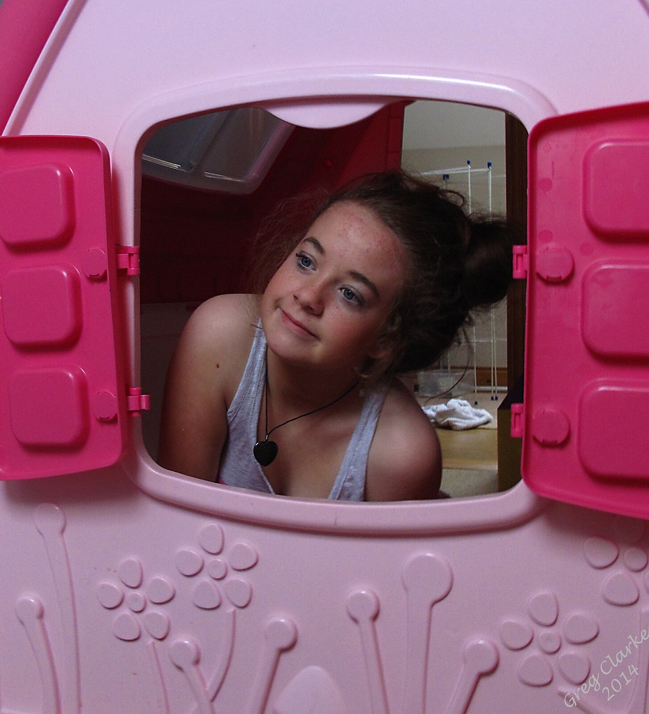 The Pink Playhouse Lawsuit (image credits: flickr)