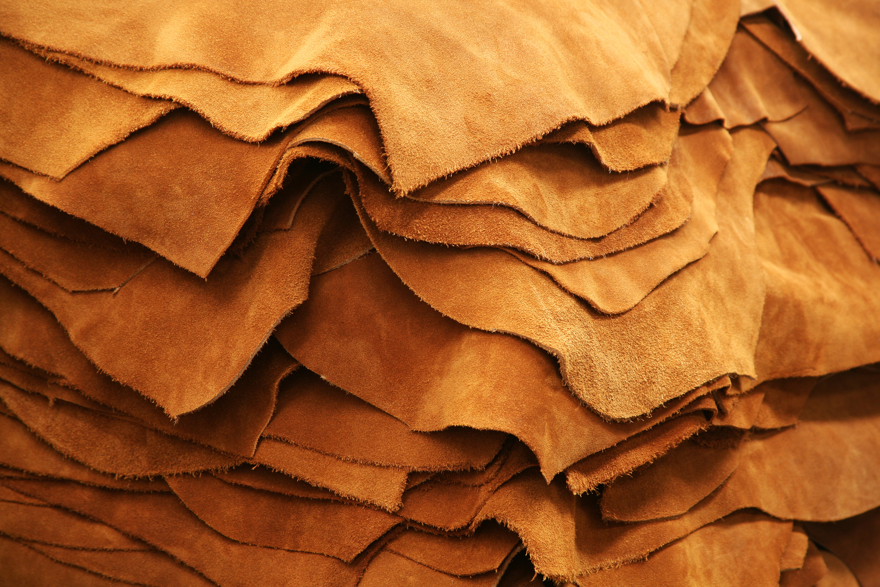 Leather: Timeless Elegance (image credits: wikimedia)