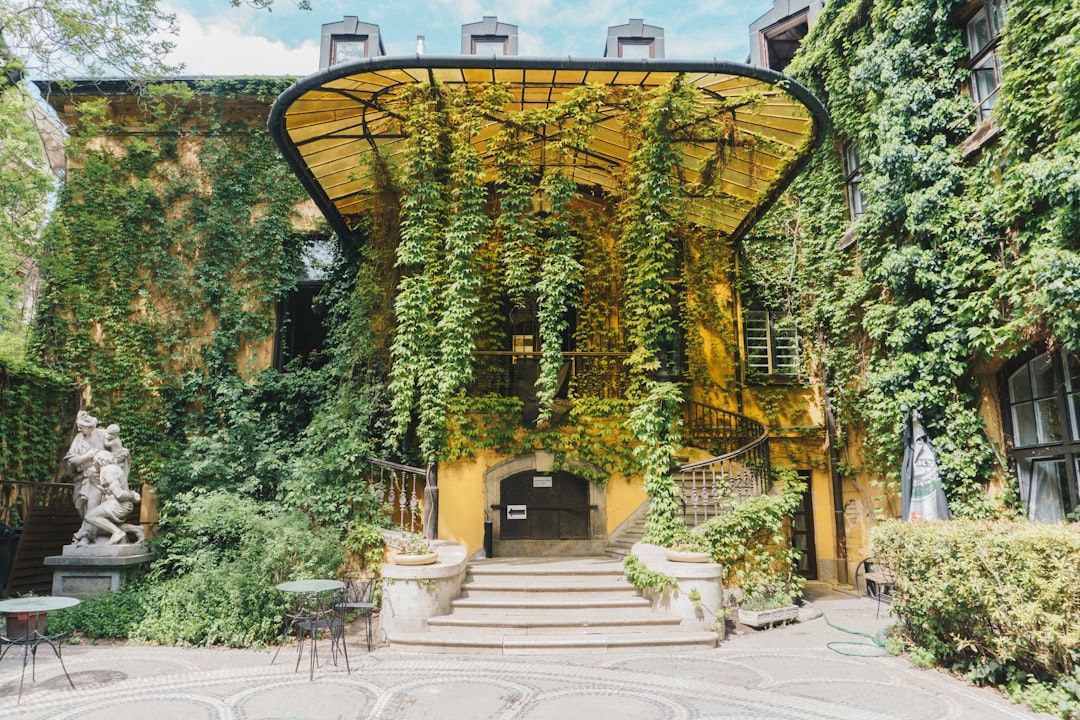 Weather-Ready Essentials (image credits: unsplash)