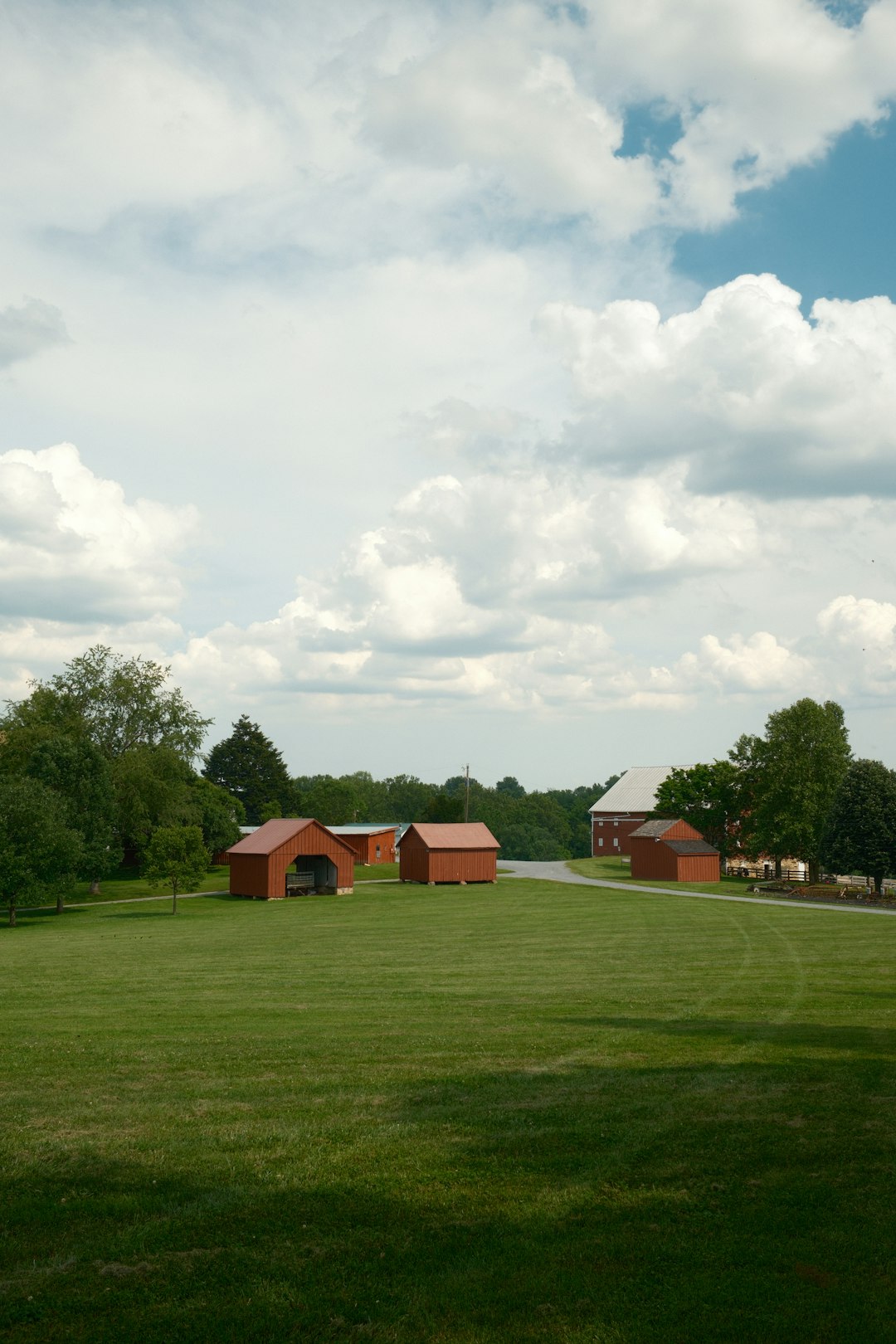 Regional Variations: Not All Yards Are Created Equal (image credits: unsplash)