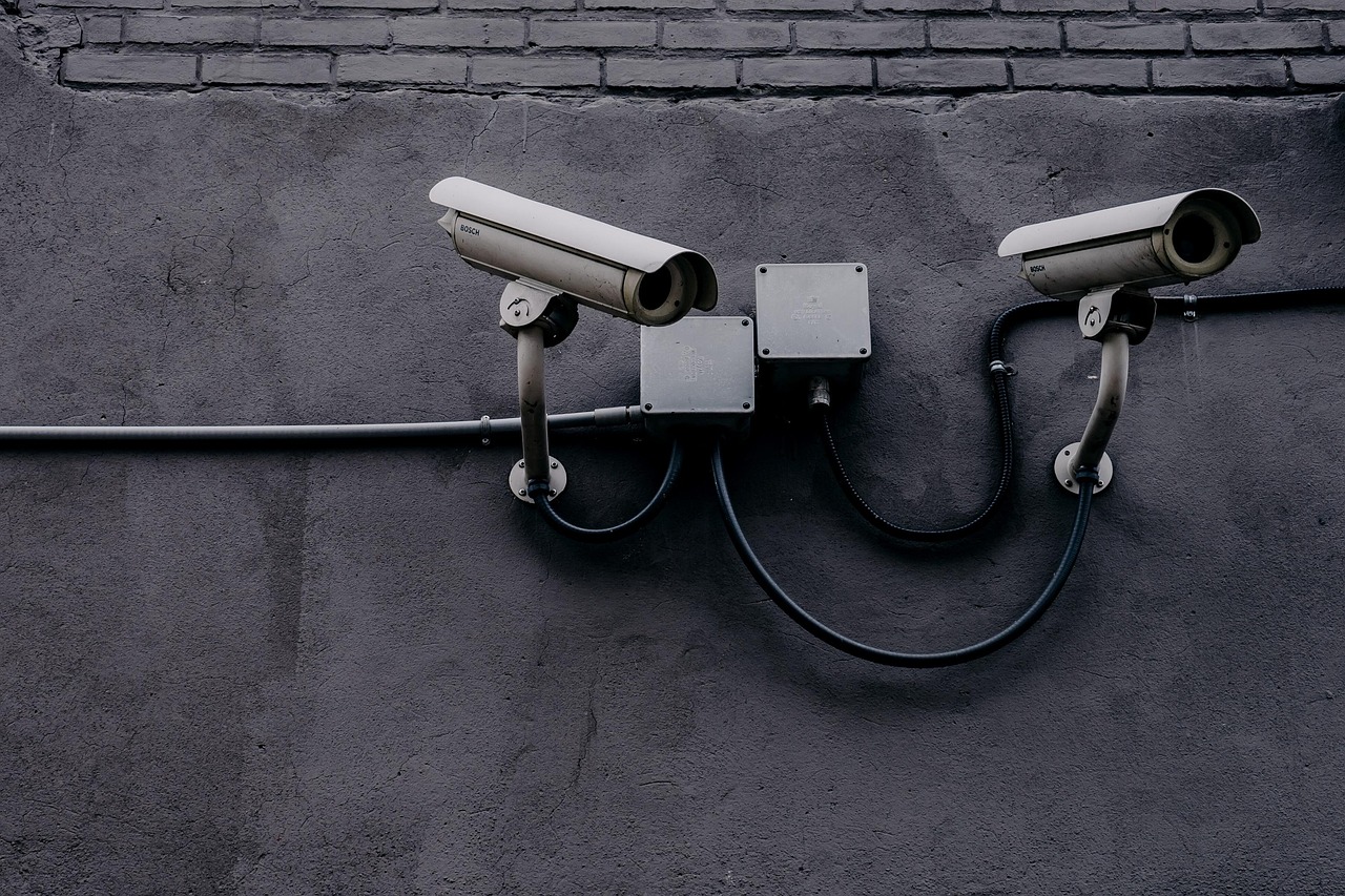 The Rise of Digital Surveillance Culture (image credits: pixabay)