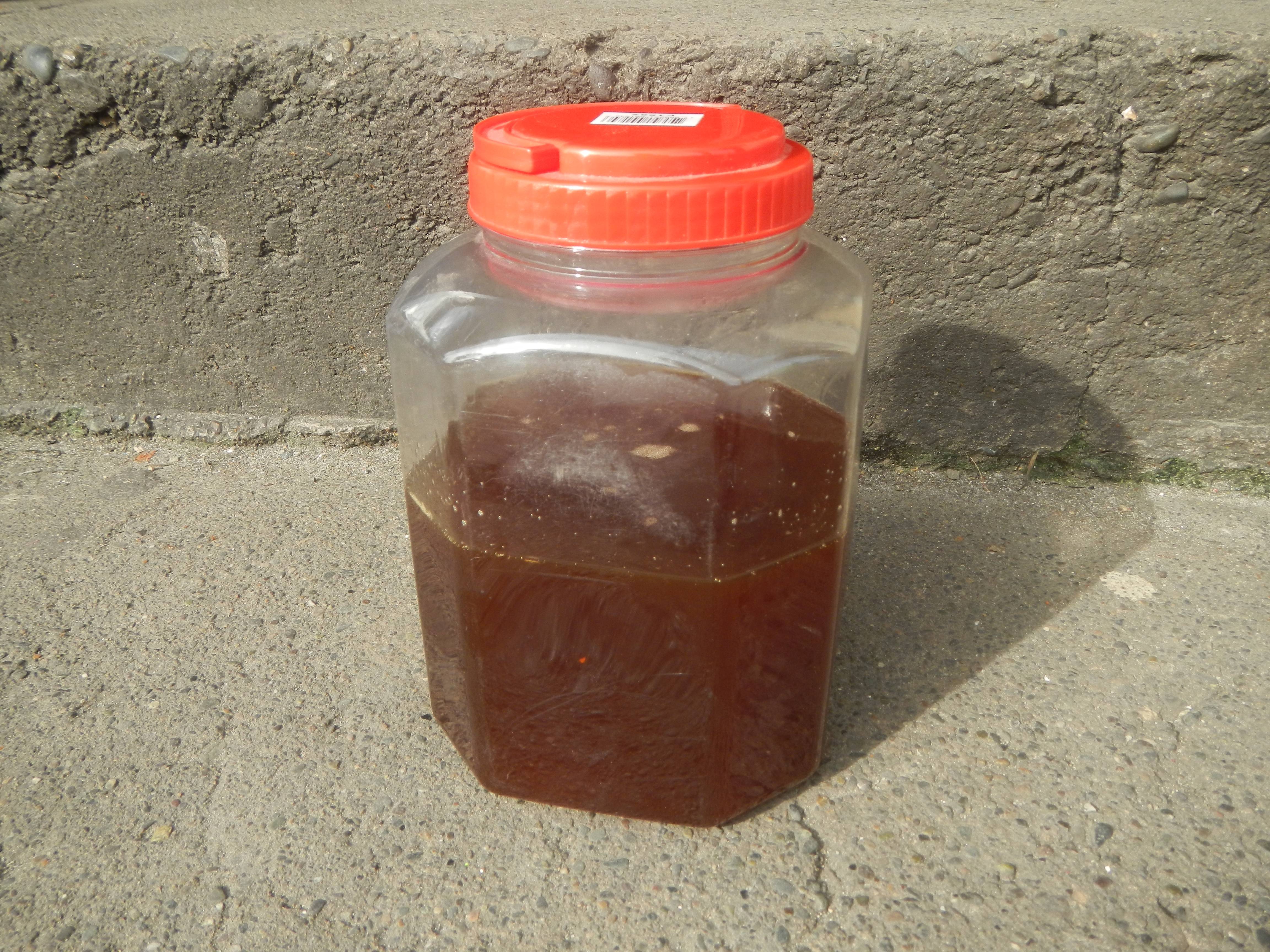 Cooking Oil (image credits: wikimedia)