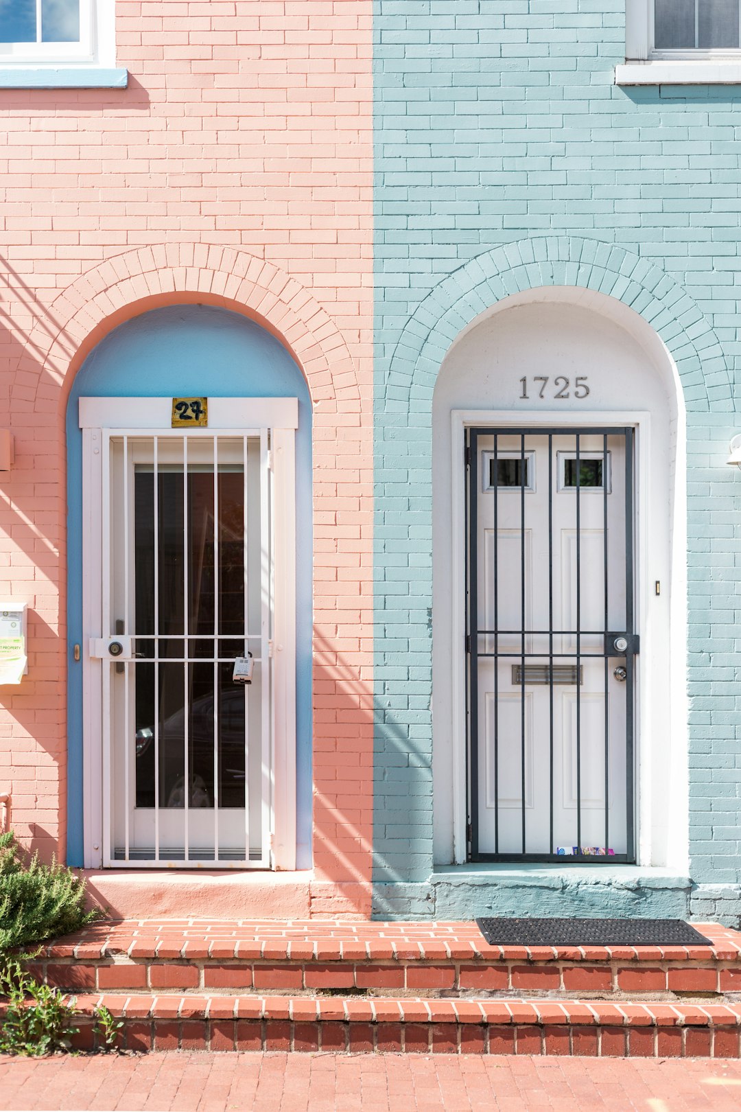 Soft Blush: A Gentle Touch of Color (image credits: unsplash)