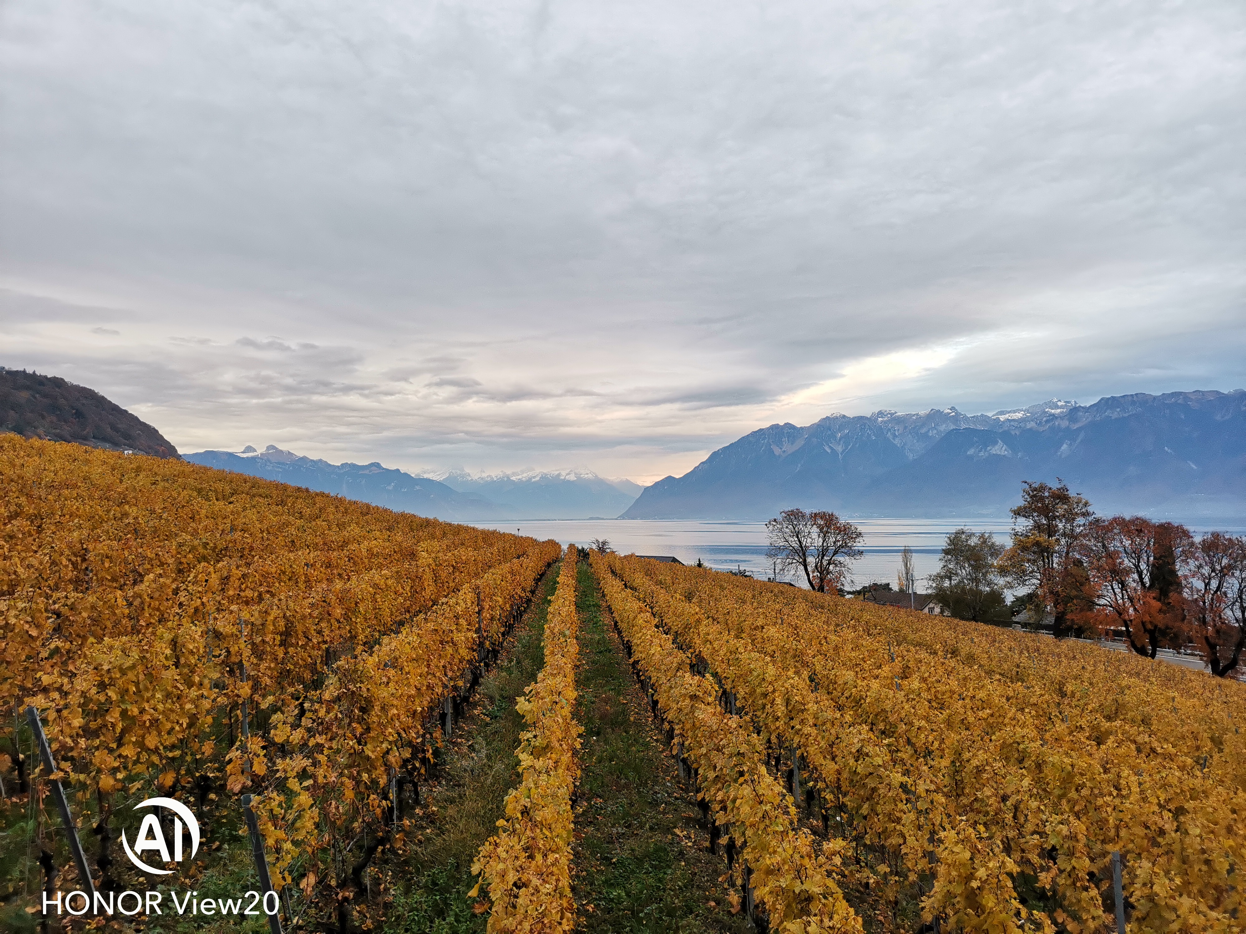 The Rooftop at the Chedi Andermatt, Switzerland (image credits: wikimedia)