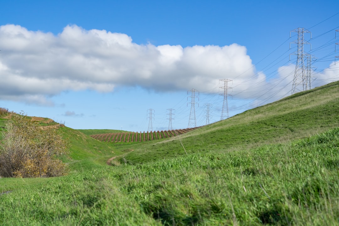 Legal Rights and Water Restrictions (image credits: unsplash)