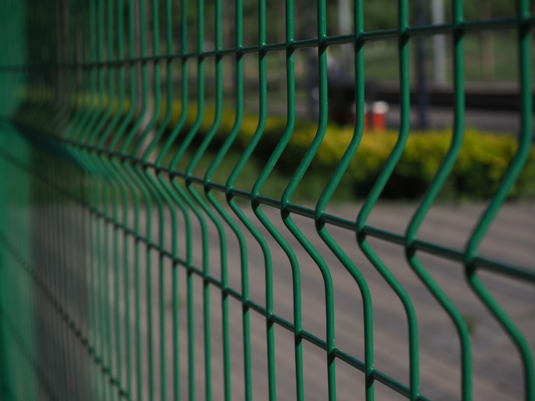Understanding Property Lines Beyond the Fence (image credits: unsplash)