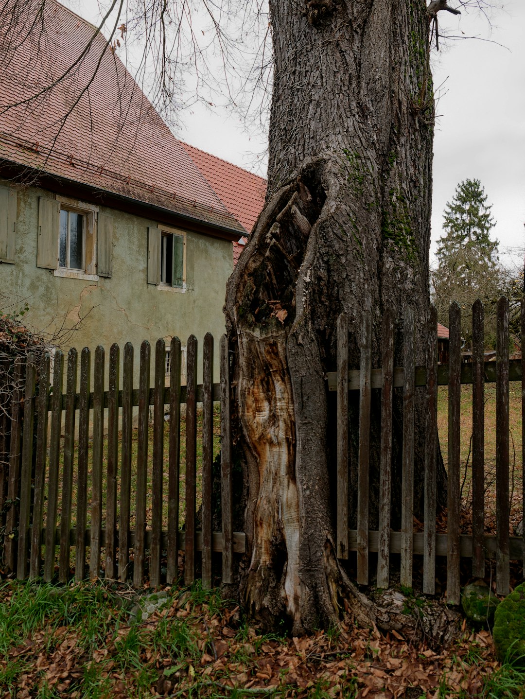 The Massachusetts Rule vs. The Hawaii Rule (image credits: unsplash)