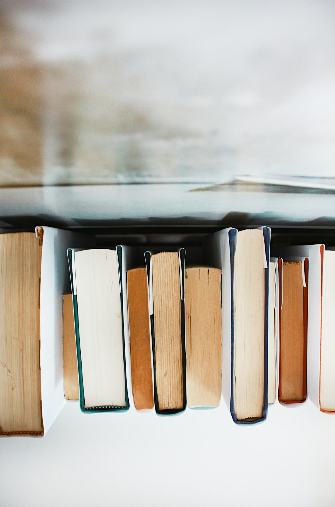 Piles of Unread Books and Old Magazines (image credits: unsplash)