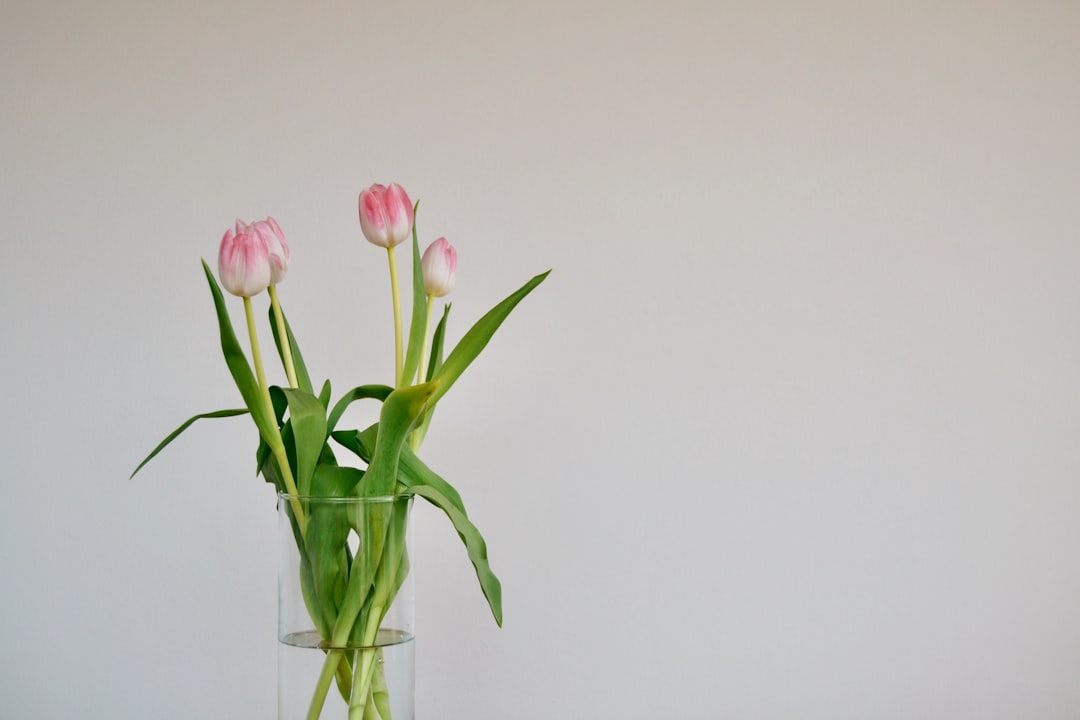 Unused Vases and Decorative Bowls Gathering Dust (image credits: unsplash)