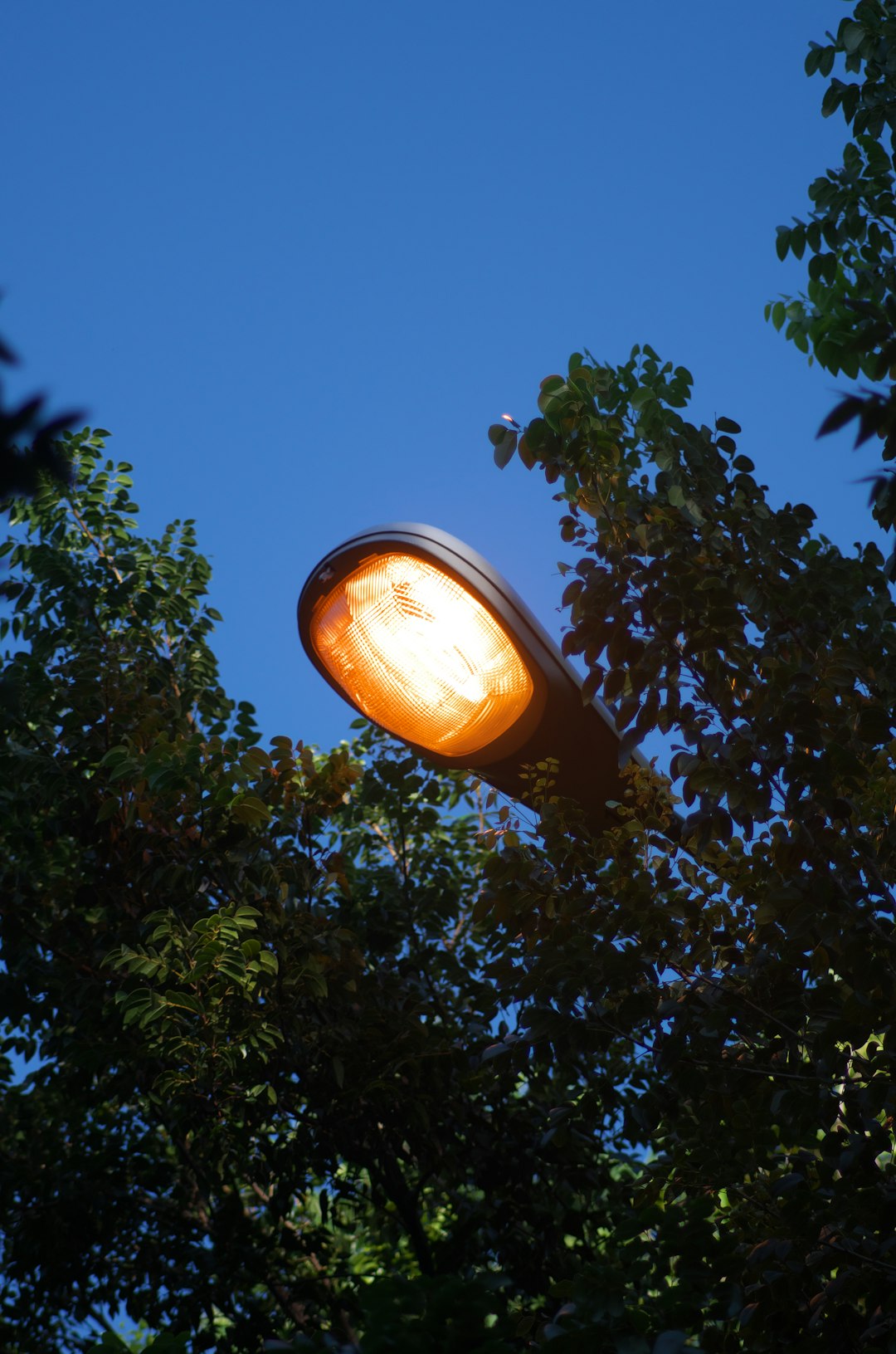 The Two-Footcandle Rule That Most Homeowners Don't Know Exists (image credits: unsplash)