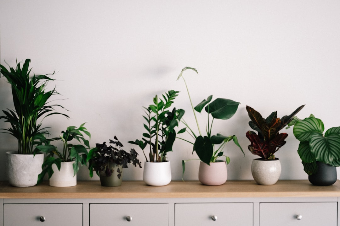 Incorporating Greenery (image credits: unsplash)