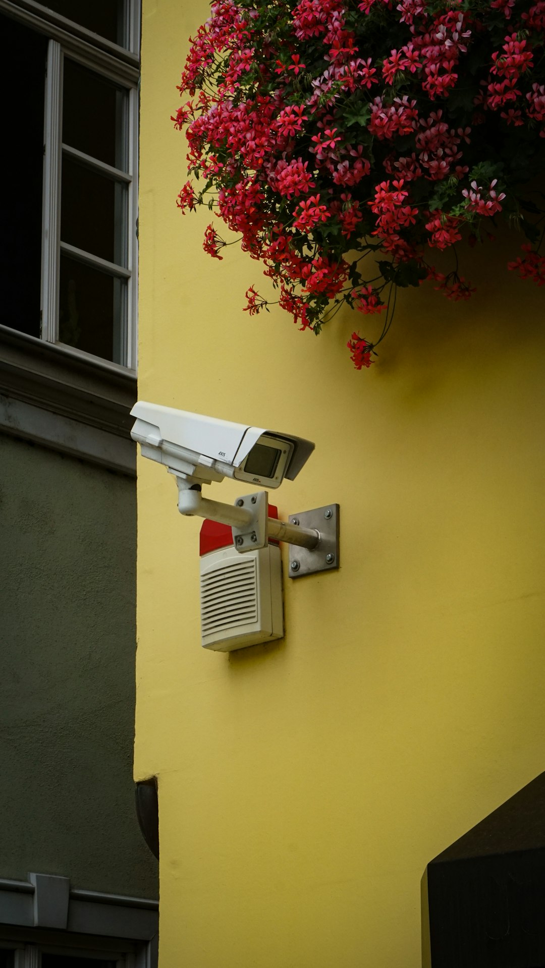 When Security Cameras Became Social Networks (image credits: unsplash)