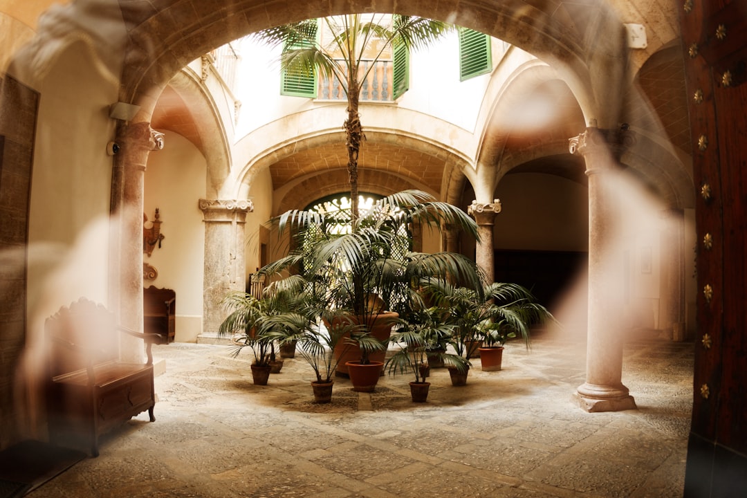 Courtyards (image credits: unsplash)