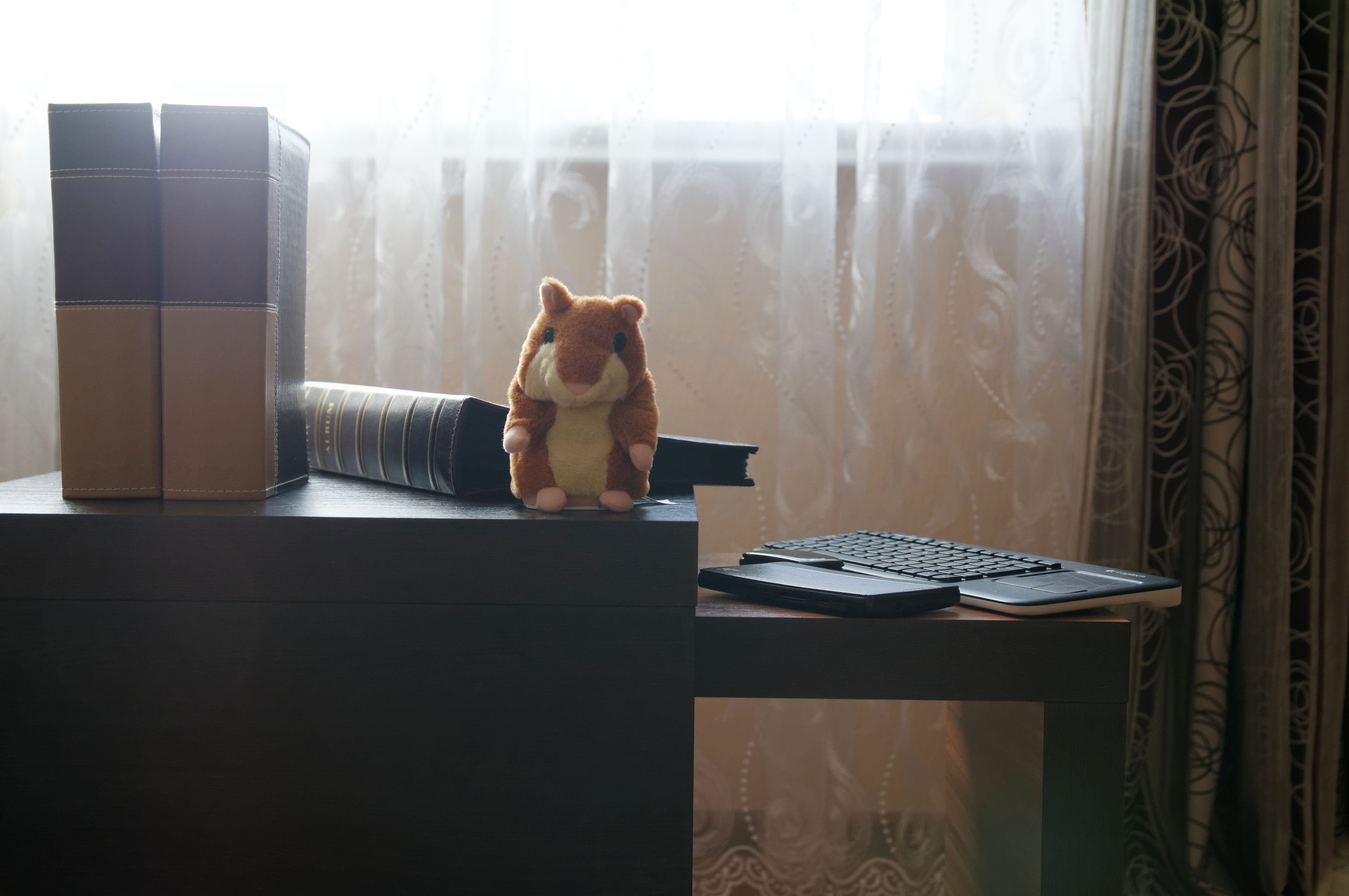 The Psychology Behind Clutter and Control (image credits: wikimedia)