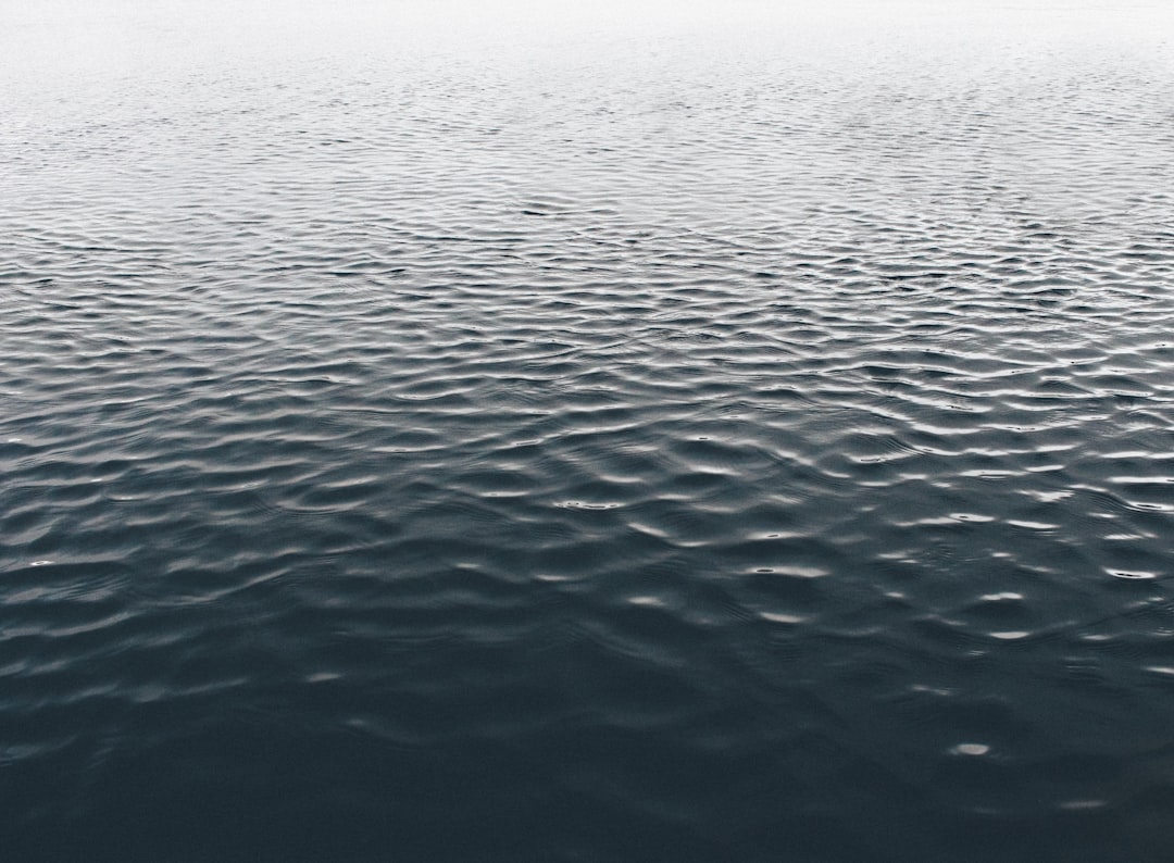 Ripple Effects Across the Economy (image credits: unsplash)