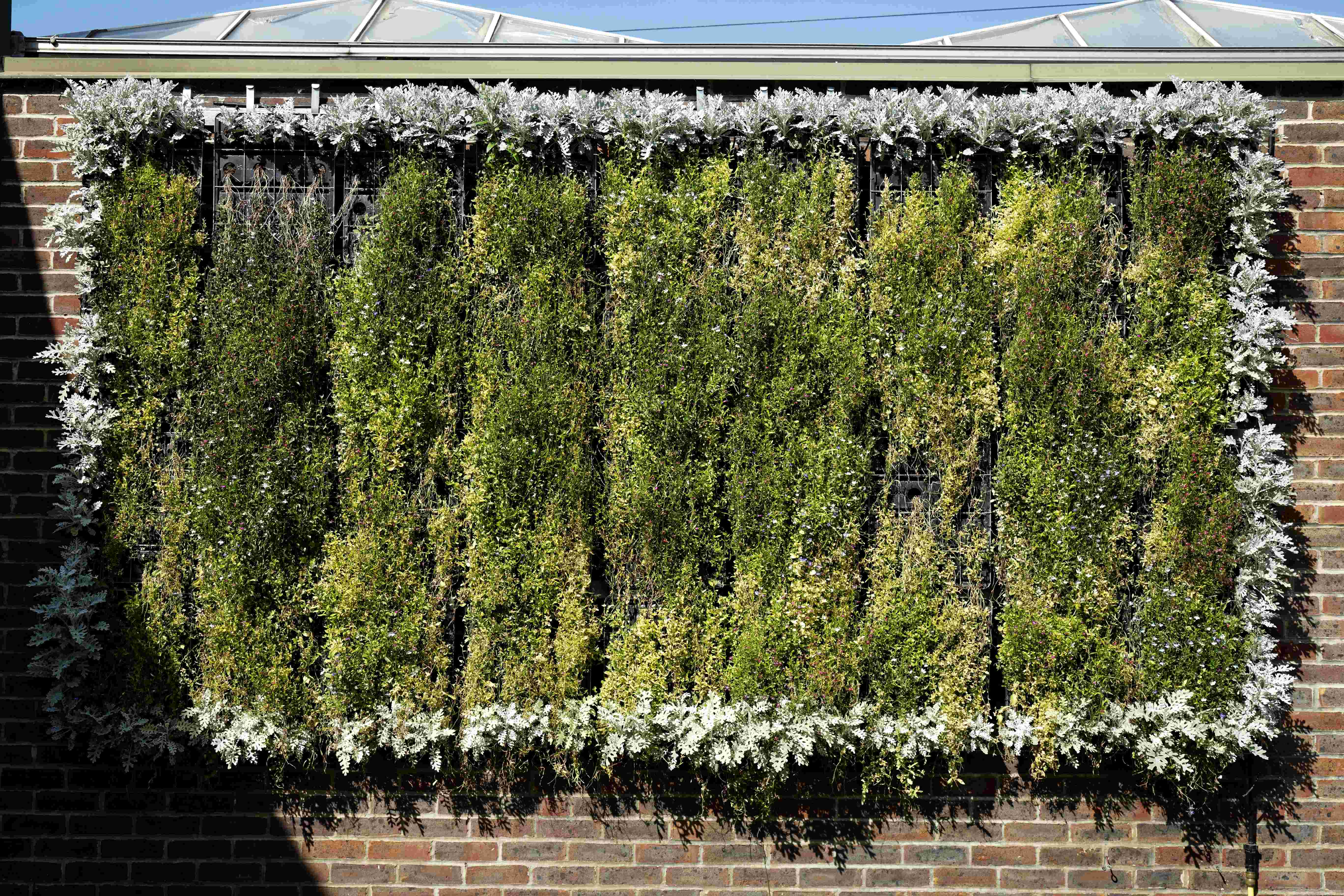 Wall-Mounted Gardens: Vertical Space Maximization (image credits: wikimedia)