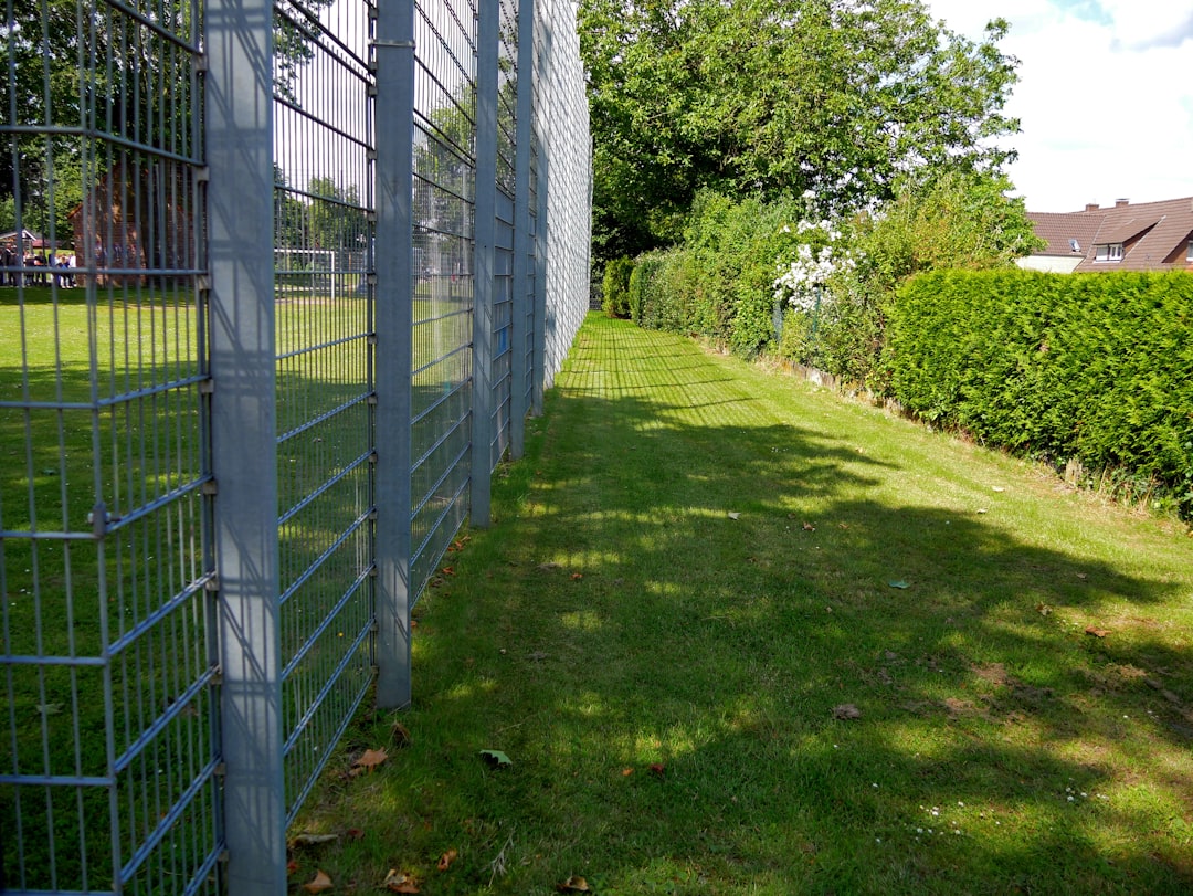 Why Most Homeowners Are Living in Boundary Blindness (image credits: unsplash)