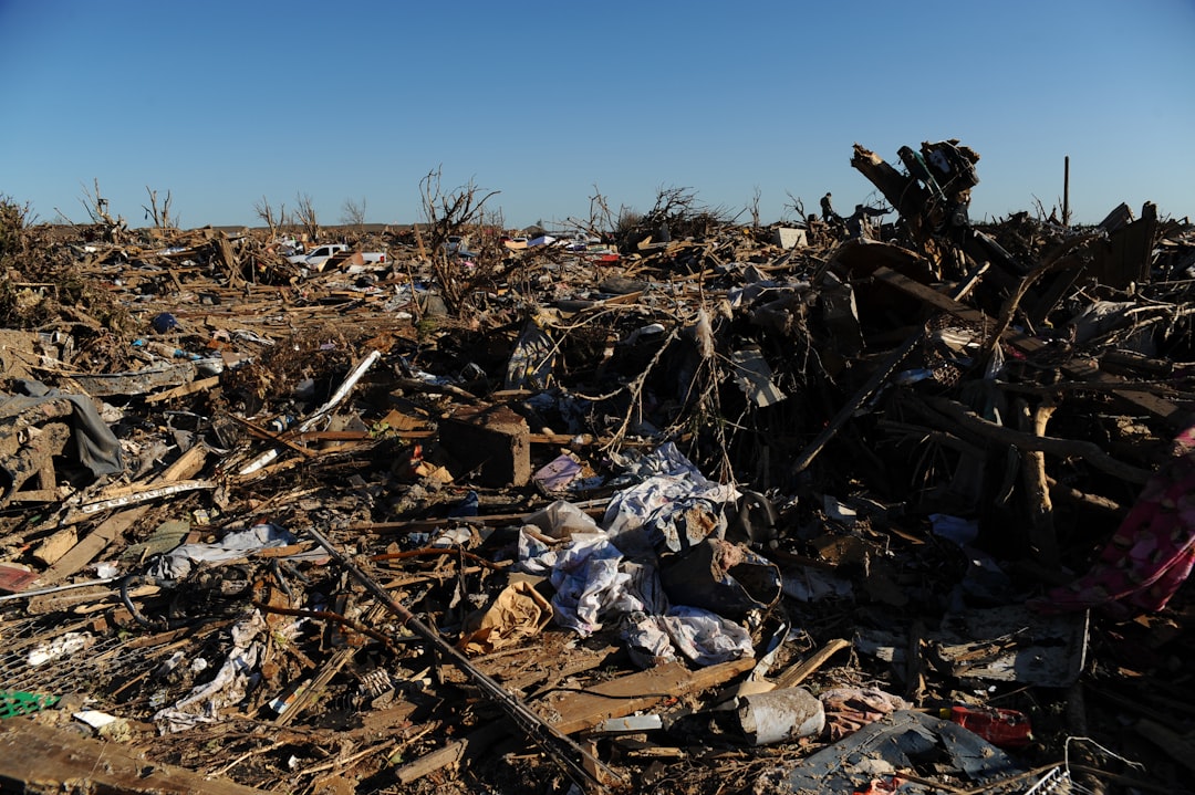 When Reality Bites Harder Than Mother Nature (image credits: unsplash)