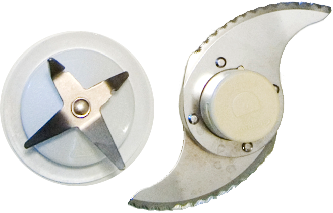 Your Kitchen Counter Predator Has Been Hiding in Plain Sight (image credits: wikimedia)