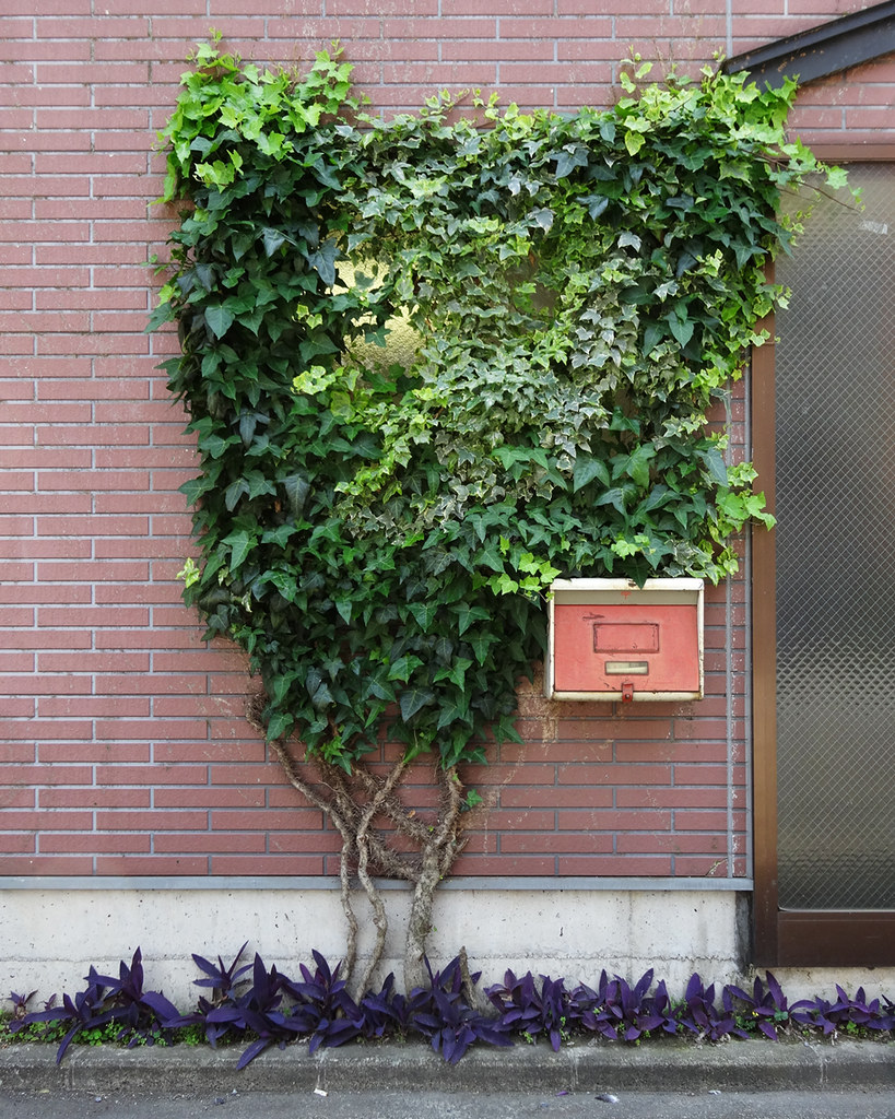 Plants Are Tattletales to Insects (image credits: flickr)