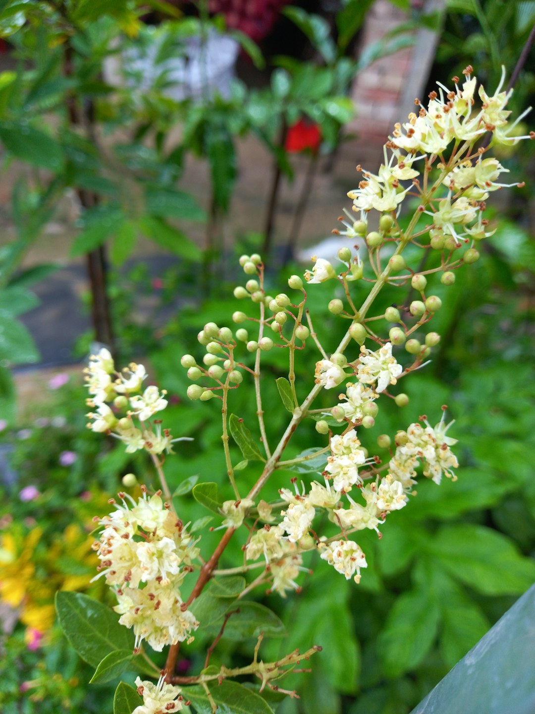 Ground Coriander: The Citrusy Spice That Goes Stale Fast (image credits: unsplash)