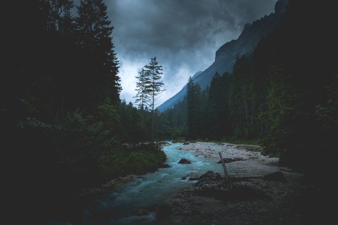 Functionality and Maintenance (image credits: unsplash)