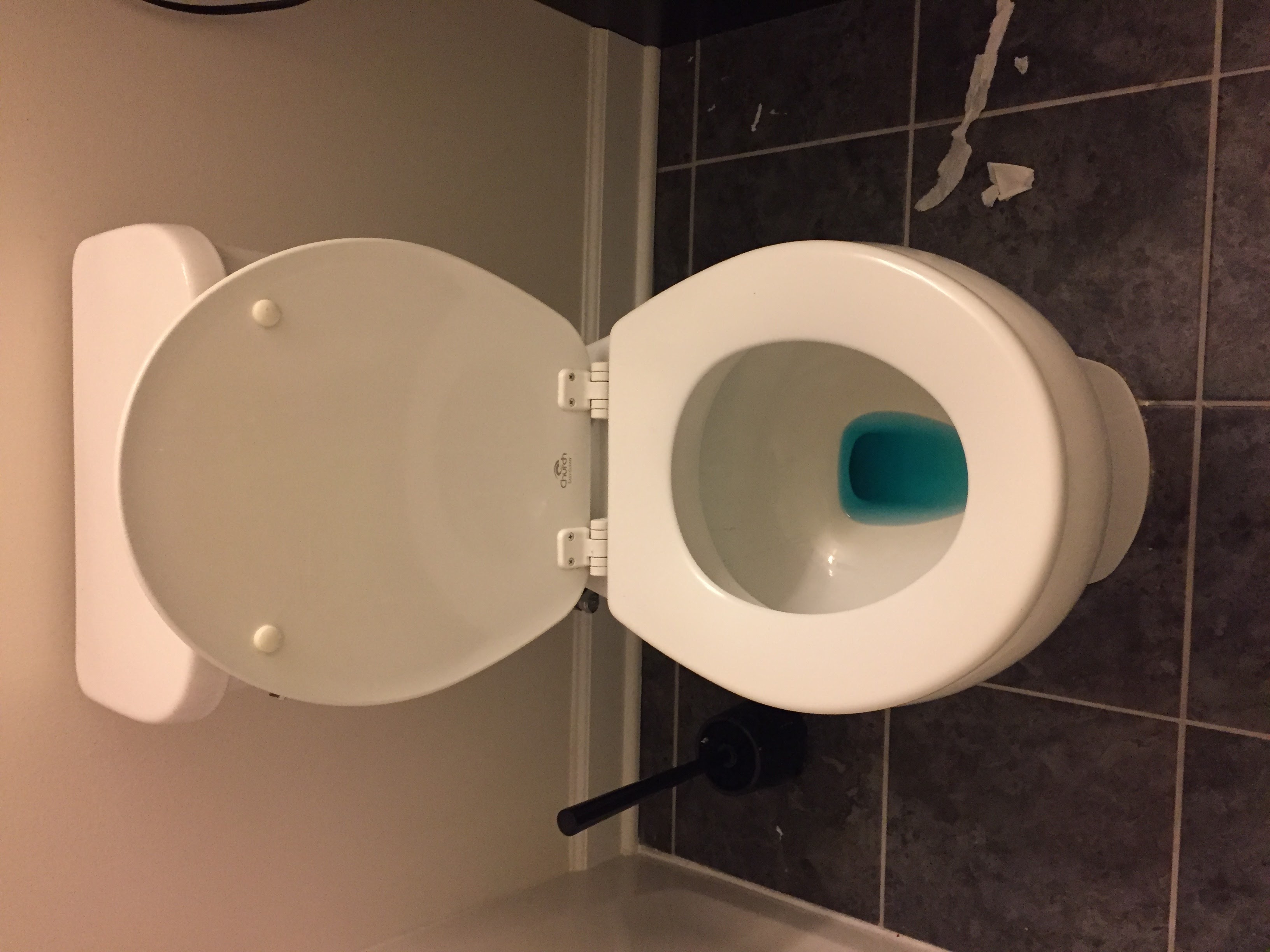 The Future of Self-Cleaning Toilets (image credits: wikimedia)