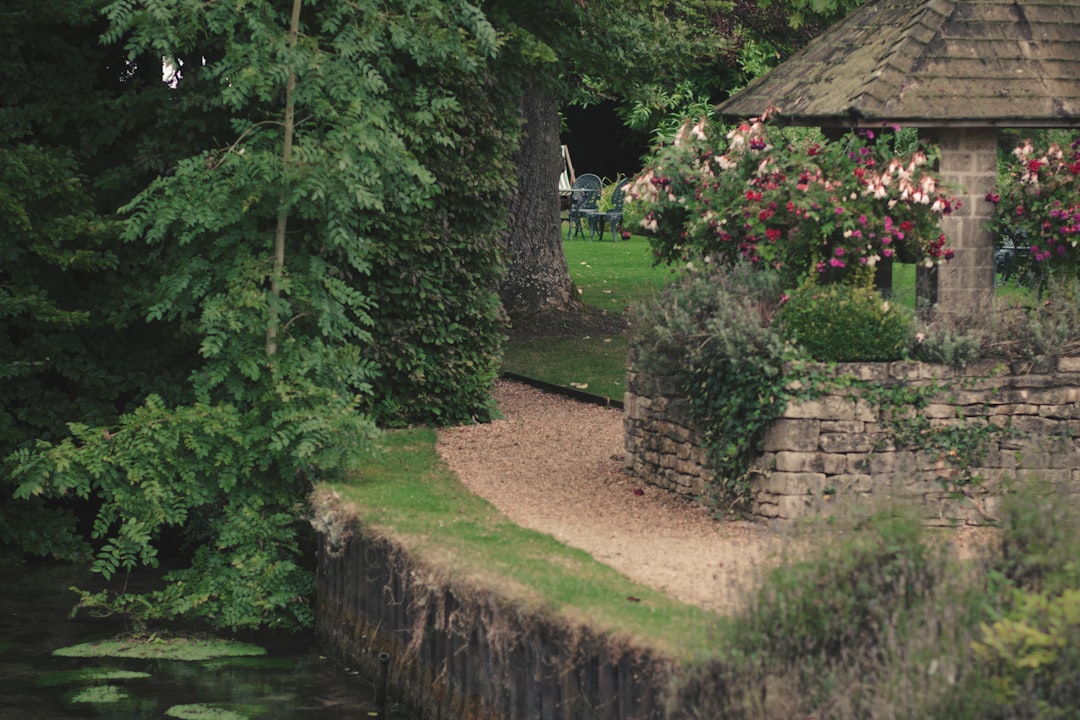 Choose the Right Artwork (image credits: unsplash)