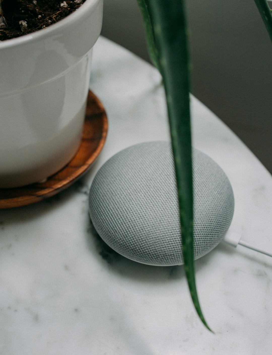 Voice-Activated Assistants: Your New Sous-Chef (image credits: unsplash)