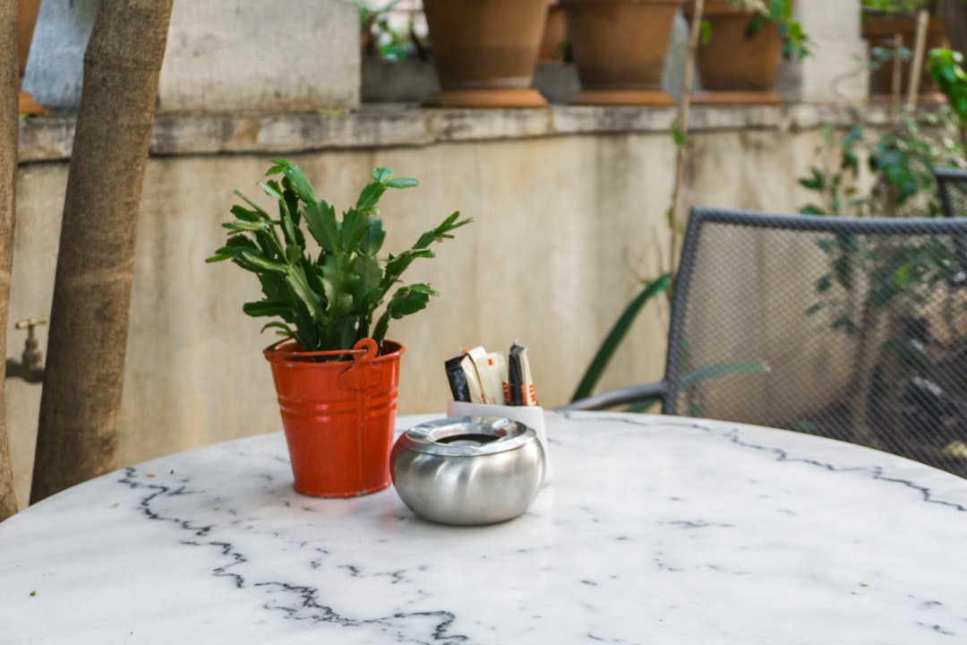 Marble: Beauty Undercut by Practicality (image credits: unsplash)