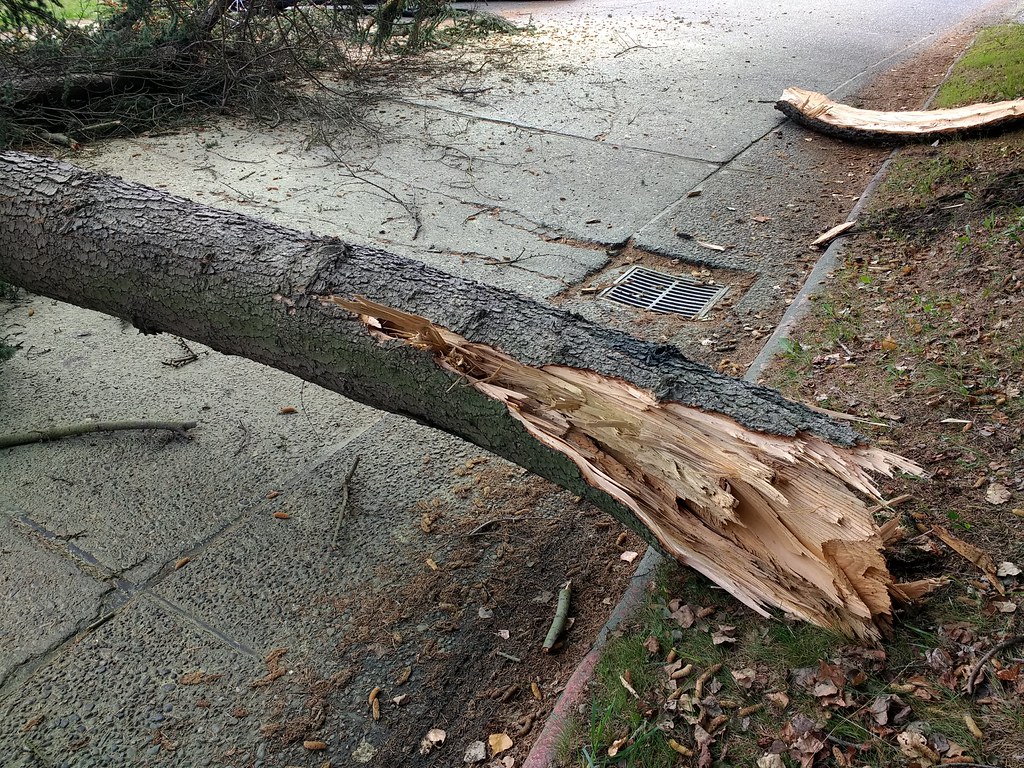 When Nature Strikes Back (image credits: flickr)