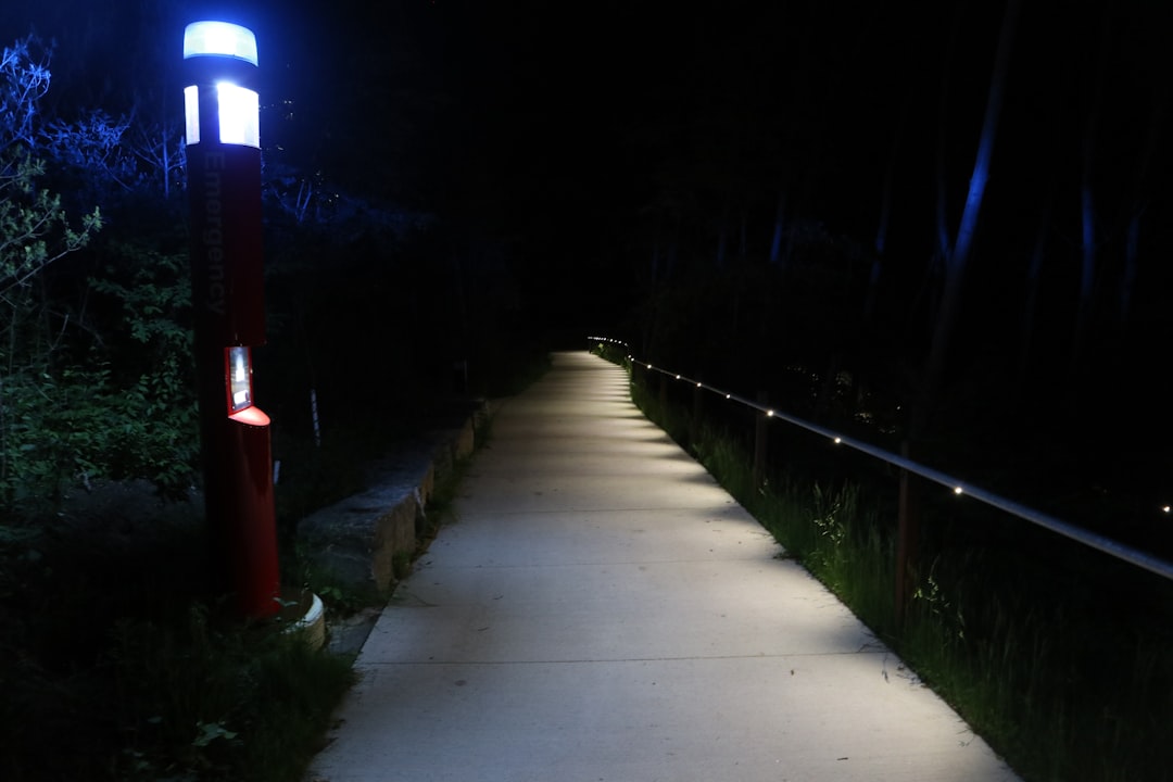 High-Intensity Pathway Lights (image credits: unsplash)