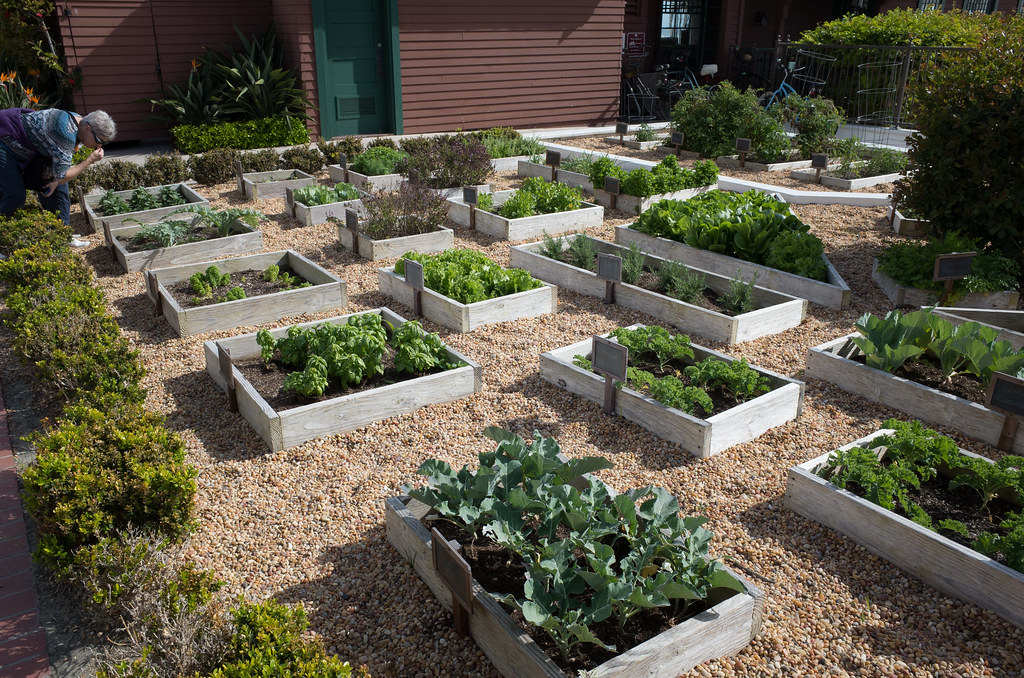 Medicinal and Herb Gardens (image credits: flickr)