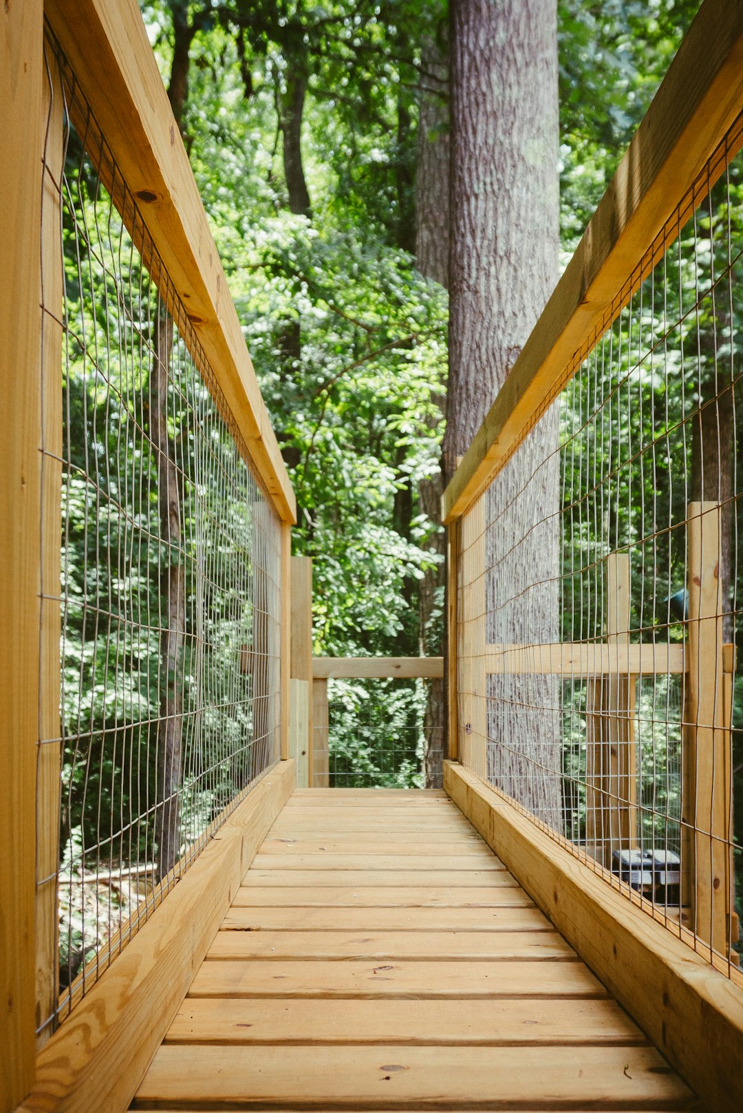 Kid-Friendly Play Zone (image credits: unsplash)