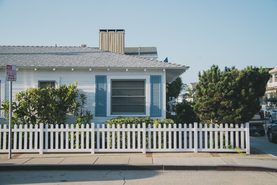 Influence of the American Dream (image credits: unsplash)