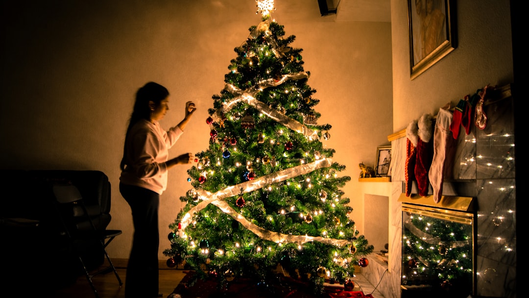 Budget-Friendly Decorating (image credits: unsplash)