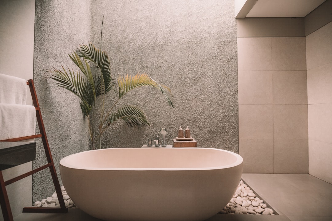 Statement Bathtubs (image credits: unsplash)