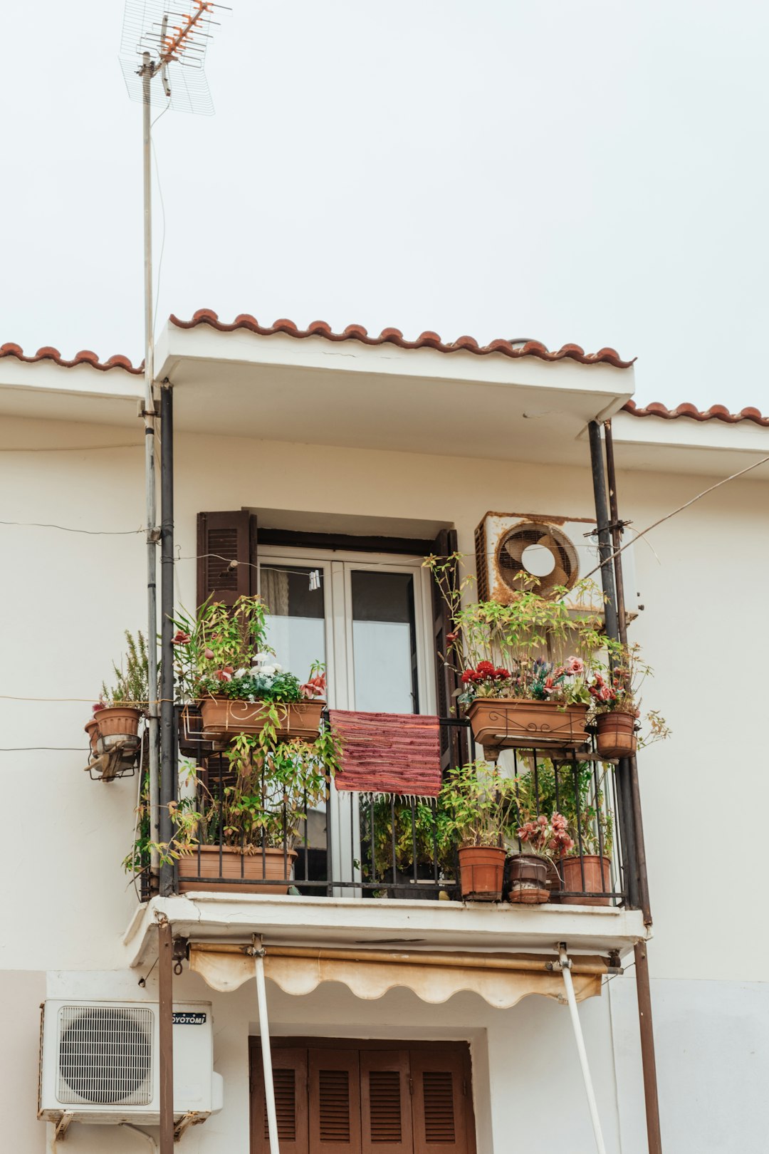 Balcony Farming: Small Space, Big Harvests (image credits: unsplash)