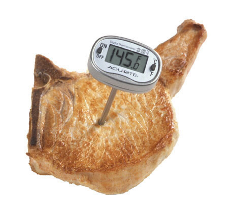 Digital Meat Thermometer: Perfect Doneness Every Time (image credits: wikimedia)